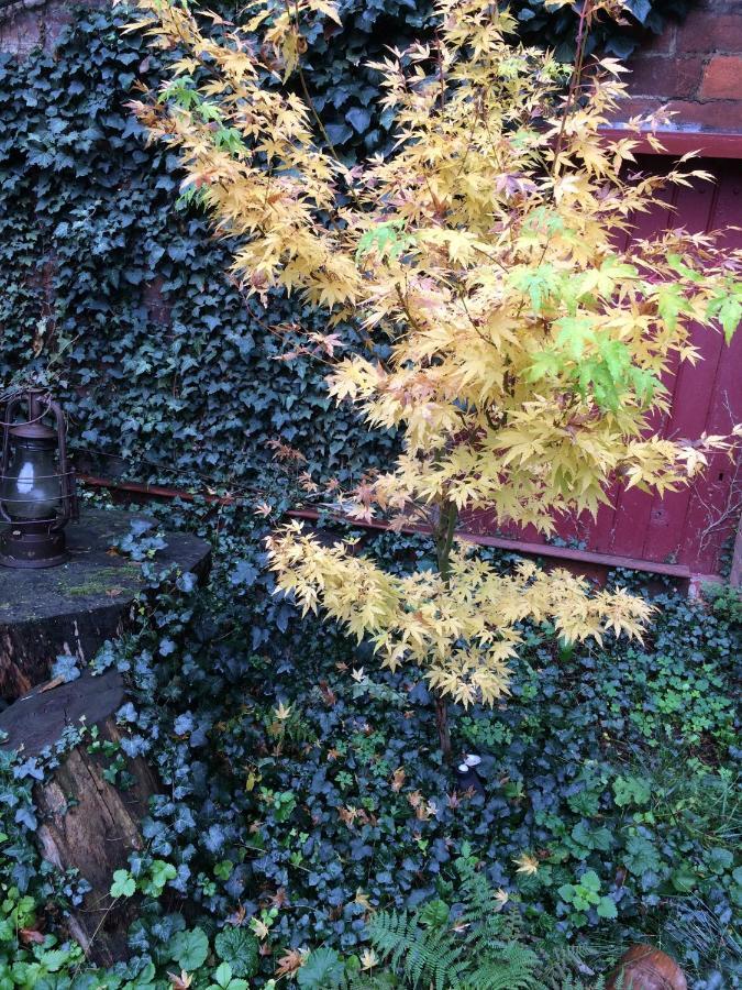 Minshuku Chambres D'Hotes Japonaises Thiers Exteriör bild